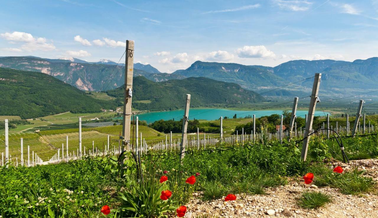 Hotel Weingut Klosterhof كالدورا المظهر الخارجي الصورة